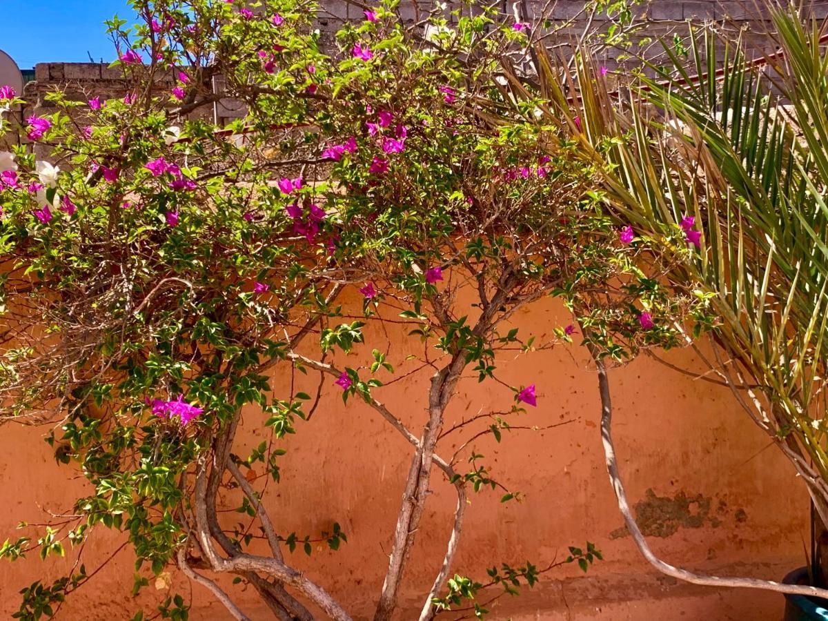 Dar Zemrane Hotel Marrakesh Exterior foto