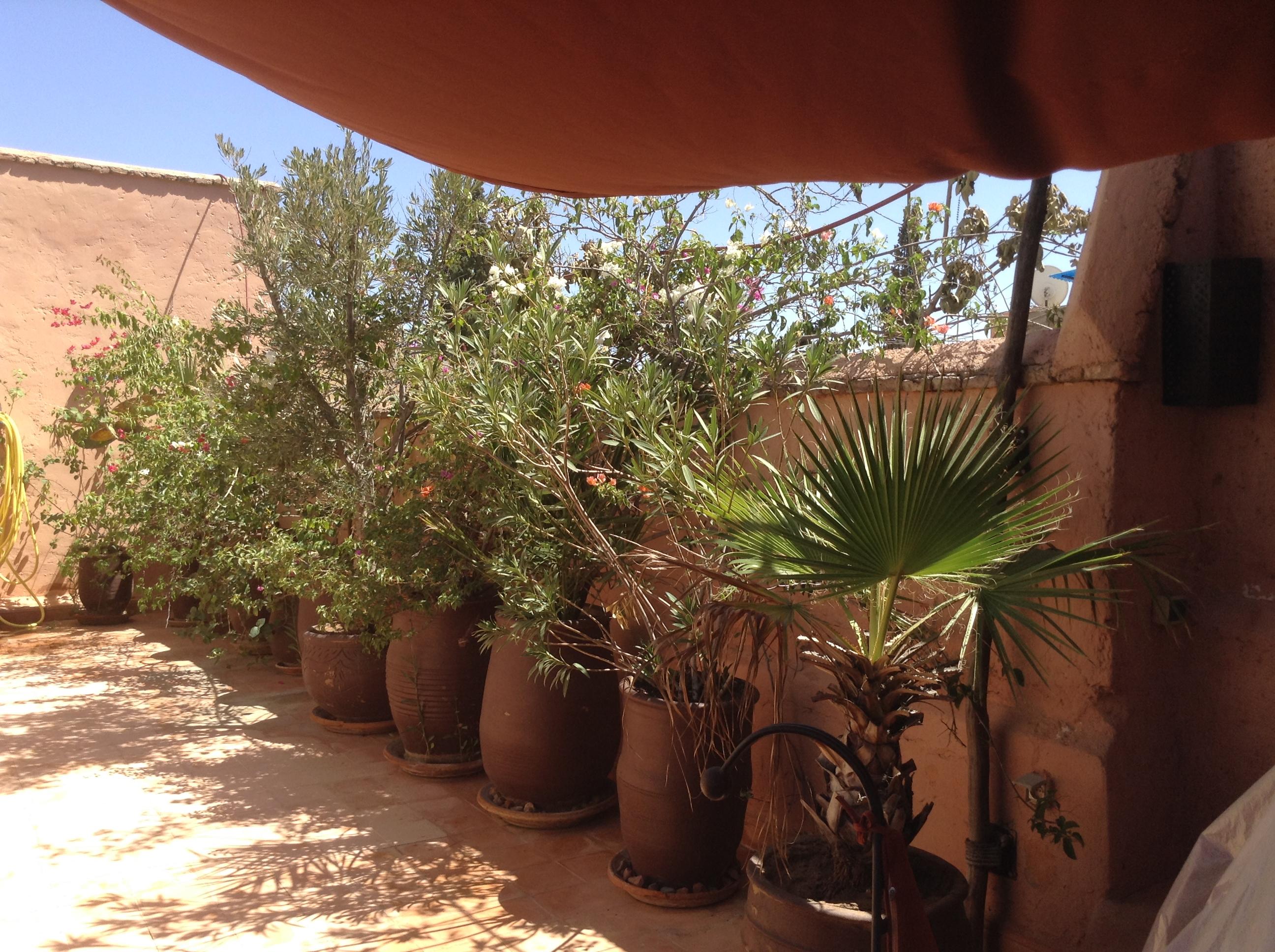 Dar Zemrane Hotel Marrakesh Exterior foto