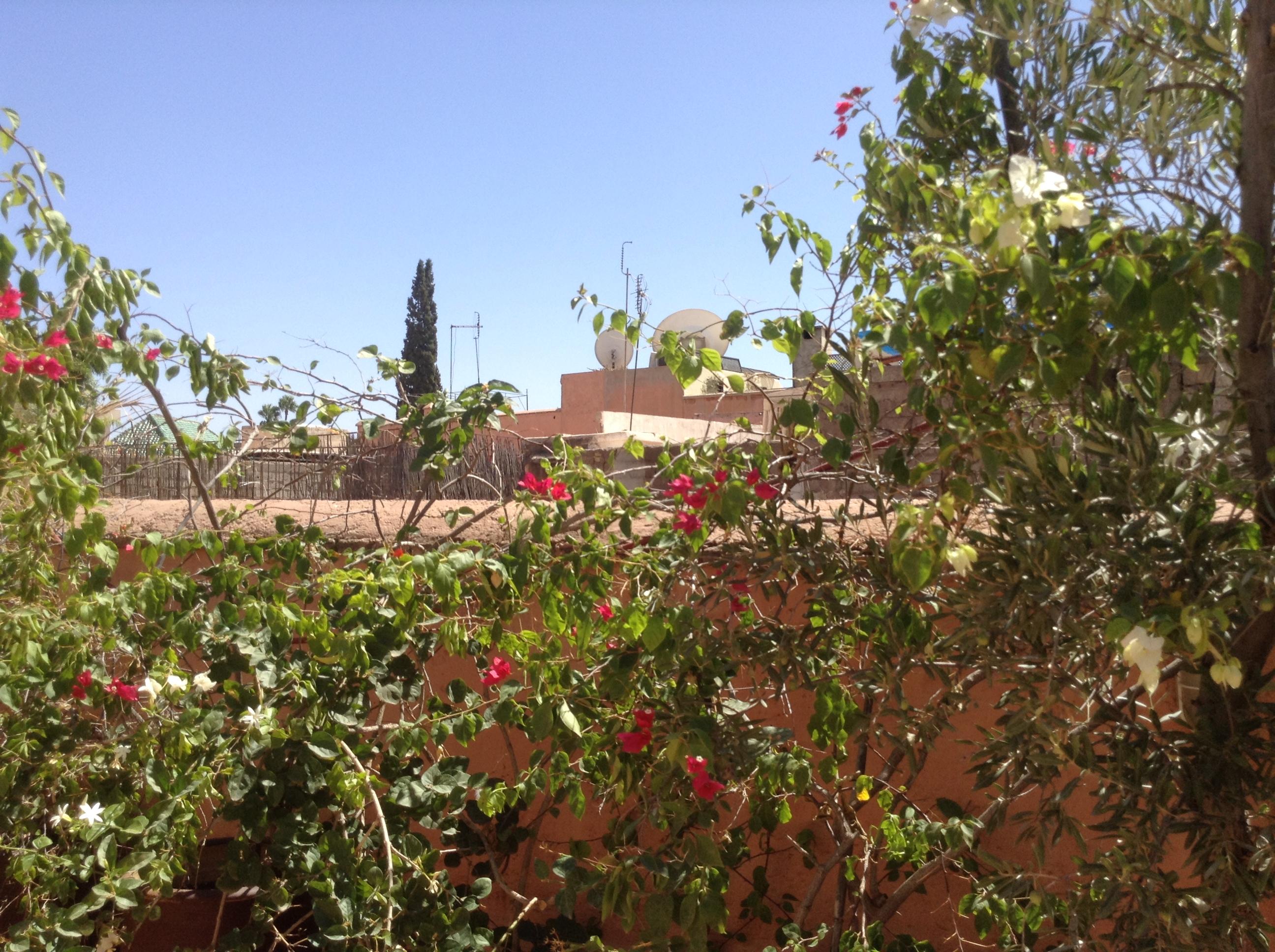 Dar Zemrane Hotel Marrakesh Exterior foto